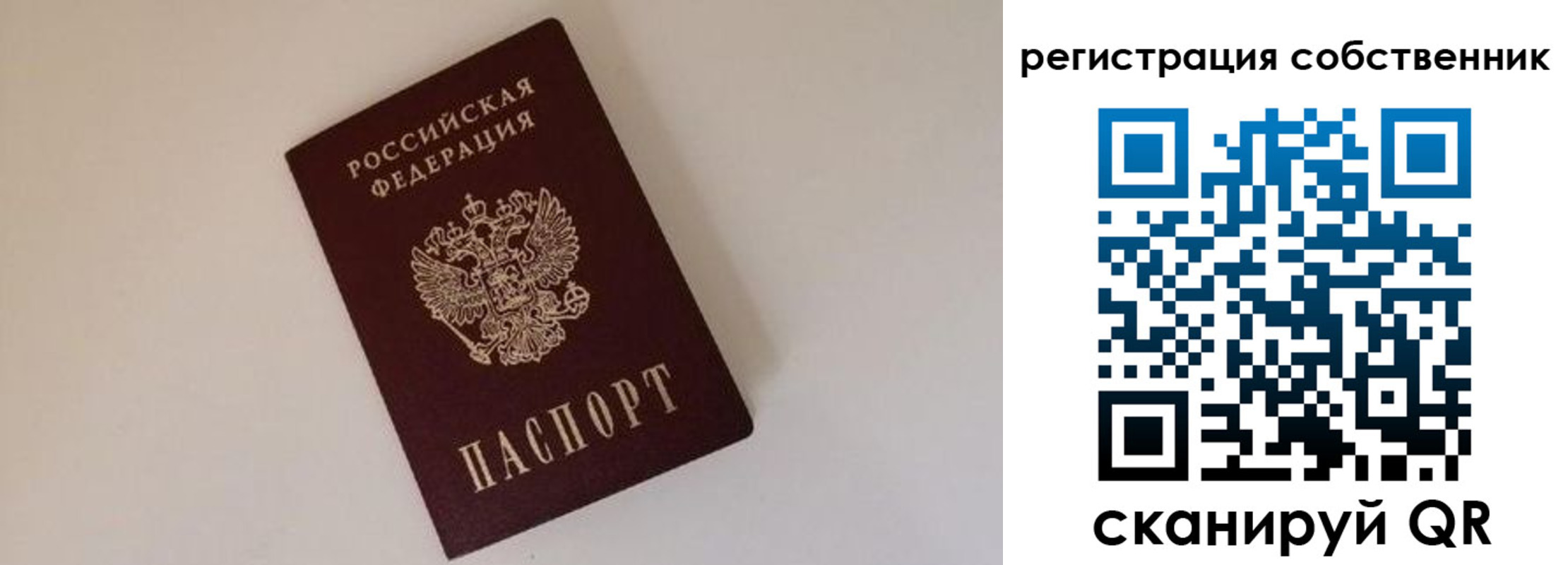 временная регистрация надежно в Амурской области